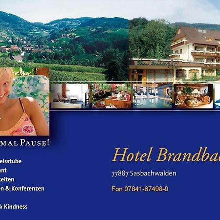 Hotel Brandbach Засбахвалден Екстериор снимка